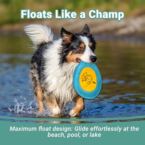 Bifeaw 3 Packs Nylon Interactive Dog Flying Disc - Floating Dog Toys for Aggressive chewers - Water Toys for Dogs (Blue and Yellow) - color: Blue and Yellow
