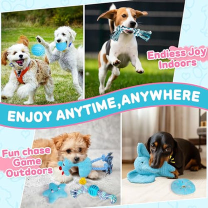 8 Pack Luxury Puppy Toys for Teething Small Dogs, Puppy Chew Toys with Squeaky Dog Toys, Balls and Rope Dog Chew Toys, Dog Toys to Keep Them Busy (Blue, 8-Pack) - color: Blue, 8-pack