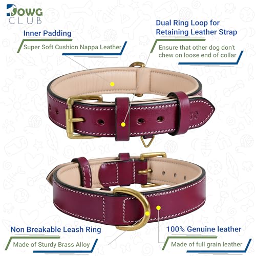 Genuine Leather Dog Collar – 1" Wide Full Grain, Padded, Heavy Duty with Brass Buckle for Small, Medium, Large, XL Dogs (Medium (Fit Neck Size 14.5"-18.5"), Dark Pink) - color: Dark Pink, size: M (Fit Neck Size 14.5"-18.5")