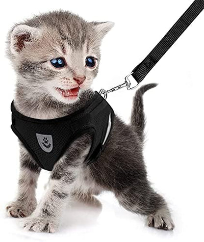 Dog Harness and Leash Set for Walking, Soft Mesh Adjustable Easy Control Lightweight Cat Vest Harnesses with Reflective Strips, Escape Proof Small Dogs Cats Vests (Black, Small) - color: Black, size: Small
