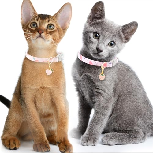 Faygarsle 2 Pack Breakaway Cat Collar with Bells for Female Girl Cats Cute Pink Collar with Peach Strawberry Charm Summer for Cats - color: Pink