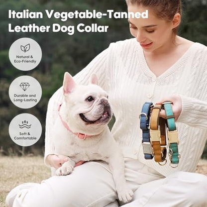 WHIPPY Vegan Leather Dog Collar No Slip Martingale Dog Collar with Quick Release Metal Buckle for Large Medium Small Dogs,Blue - color: blue, size: M:Fit 13-16" Neck