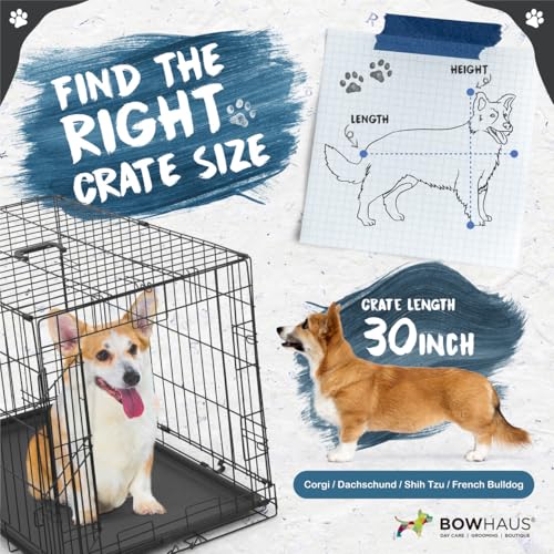 CAPHAUS Foldable Dog Crate Wire Metal Dog Kennel w/Divider Panel, Leak-Proof Pan & Protecting Feet, Single & Double Door, Small, Medium & Large Dog Crate Indoor Wire Dog Cage, 30” w/Easy-Flick Lock - size: 30.1"L x 18.5"W x 20.4"H