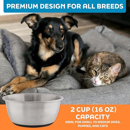 Master Pet Supply Stainless Steel Dog Bowls Set of 2 (16 Oz Each) with Non-Slip Rubber Base - Stainless Steel - Basic Dog Food Bowl Water & Food Bowls for Small Medium Large Dogs & Cats, Metal Dish - color: Stainless Steel, size: 2 Cups (16 oz) 2 Pack