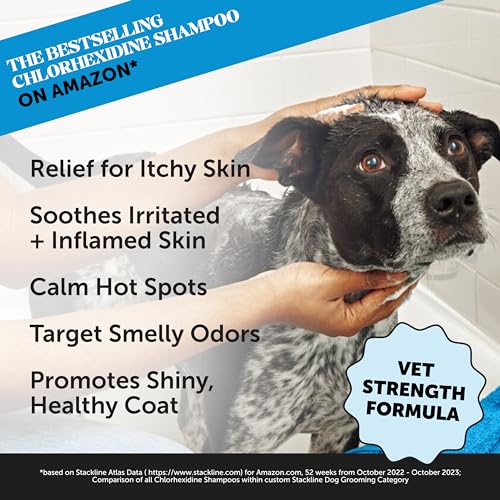 Pet Honesty Chlorhexidine Cat & Dog Seasonal Itch Relief Shampoo, for Allergies, Itching, Skin and Coat Supplement, Helps Shedding, Hot Spots, Deodorizing Dog Shampoo & Grooming Supplies,16oz
