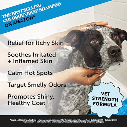 Pet Honesty Chlorhexidine Cat & Dog Seasonal Itch Relief Shampoo, for Allergies, Itching, Skin and Coat Supplement, Helps Shedding, Hot Spots, Deodorizing Dog Shampoo & Grooming Supplies,16oz