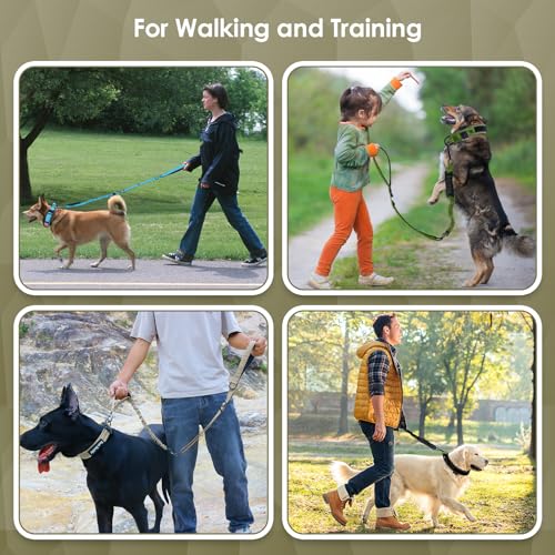 AUBELL Tactical Dog Leash Heavy Duty,4-6ft Reflective Strong No Pull Bungee Leash for Medium Large Dogs with Comfortable Padded Double Handle,Car Seat Belt,360 Degree Rotating Carabiner,Green - color: M/L-Green(4-6FT)