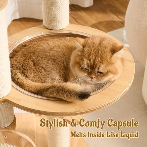 Modern Solid Wood Cat Tree for Indoor Cats Up to 15lbs, 49" Tall Cat Tower with Scratching Posts & Scratcher, Large Cat Bed, Hammock, Capsule Nest, Dangling Ball, Multi-Level Cat Furniture - color: 49"Natural