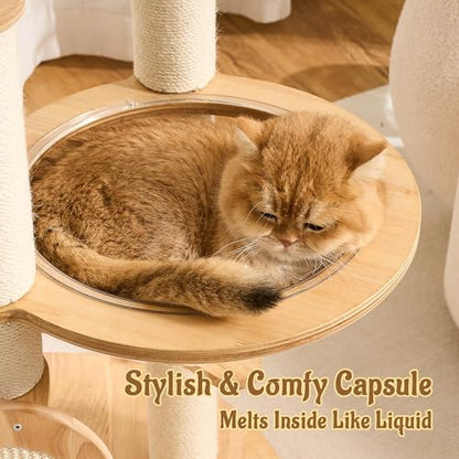 Modern Solid Wood Cat Tree for Indoor Cats Up to 15lbs, 49" Tall Cat Tower with Scratching Posts & Scratcher, Large Cat Bed, Hammock, Capsule Nest, Dangling Ball, Multi-Level Cat Furniture - color: 49"Natural