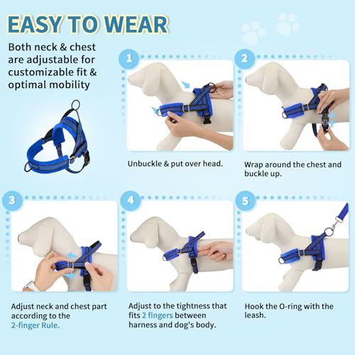 Lukovee No Pull Dog Harness and Leash Set, Soft Padded Small Dog Harness, Neck & Chest Adjustable Reflective Vest Puppy Harness with 4ft Lightweight Anti-Twist Dog Leash for Small Dogs (XXS, Blue) - color: Blue, size: XXS ( Chest 11.5'' ~ 15'')
