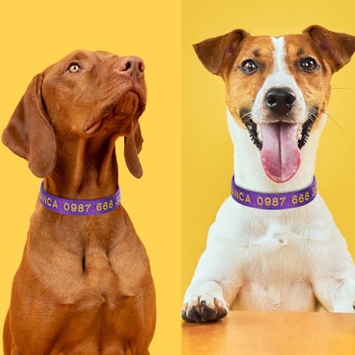 Padded Dog Collar,Soft Neoprene Personalized Pet Collar,Custom Embroidered Pet Name and Phone Number,Breathable Nylon Dog Collars,Quick Release Snap Buckle Dog Collar,Pink - color: Pink