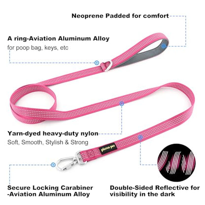 Plutus Pet Heavy Duty Dog Leash with Lockable Aluminum Carabiner, 4/6 Feet Long, Double-Sided Reflective Nylon, Padded Handle, for Puppy, Small, Medium and Large Dogs (Pink, 1" x 6') - color: Pink, size: 1" x 6'