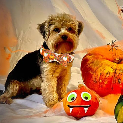 Elegant little tail Halloween Dog Collar, Pumpkin with Flower Print Halloween Pet Collars Puppy Collar with Bow Cute Adjustable Collars for Small Medium Large Dogs - color: Flower Pumpkin, size: X-Small (Pack of 1)