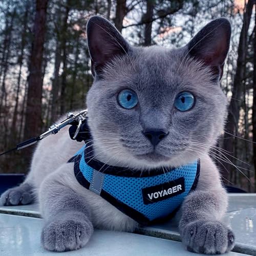 Best Pet Supplies Voyager Step-in Air All Weather Mesh Harness and Reflective Dog 5ft Leash Combo with Neoprene Handle, for Small, Medium and Large Breed Puppies - Set (Baby Blue/Black Trim), XXXS - color: Harness Leash Bundle (Baby Blue/Black Trim), size