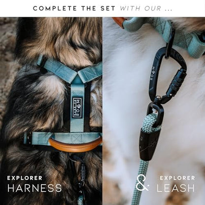 Made to ROAM Premium Explorer Control Collar - Adjustable Heavy Duty Nylon Dog Collar with Quick-Release Metal Buckle and Handle (Alaska Daybreak, Control Size 4) - color: Alaska Daybreak, size: Control 4 (w/ handle)