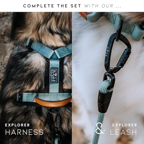 Made to ROAM Premium Dog Collar - Adjustable Heavy Duty Nylon Collar with Quick-Release Metal Buckle (Michigan Autumn, Classic Size 3) - color: Michigan Autumn, size: Classic 3