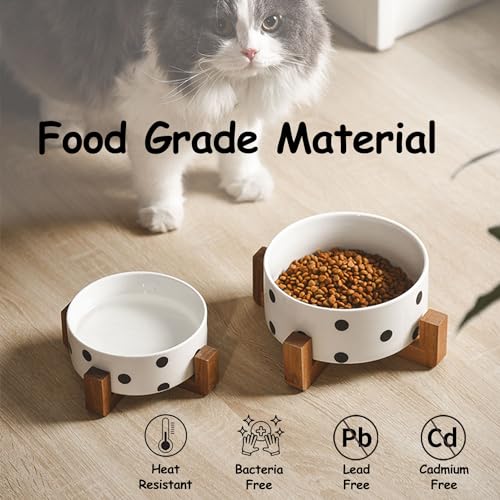 Petygooing Ceramic Dog Bowl Set with Stand, Small Pet Bowls, Anti-Slip Cat & Dog Food and Water Bowl Set (13.5OZ/5.1 in) Black Dot - color: Black Dot, size: Puppy/Small Size Dogs & Cat Bowls 400ML*2