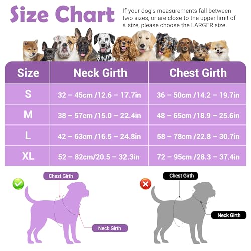 Funfox Dog Harness No Pull, Adjustable Pet Vest Harness, Super Soft Material with Vertical Handle Easy Control, Reflective Night Walking, 2 Leash Clips for Small Sized Dogs, Purple, S - color: Purple, size: Small