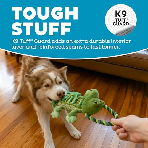 Outward Hound by Charming Pet Ropiez Rope Interactive Dog Tug Toy for Tugging Squeaky Fun, Gator, Green - color: Ropiez Gator