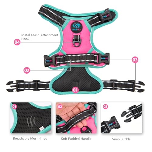 PHOEPET 2019 Upgraded No Pull Dog Harness, Reflective Adjustable Vest, with a Training Handle + 2 Metal Leash Hooks+ 3 Snap Buckles +4 Slide Buckles(S, Pink) - color: Pink, size: Small