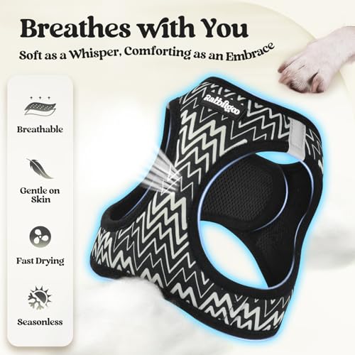 rabbitgoo Dog Harness Small Sized and Leash Set, Step in Soft Light Puppy Vest, Breathable Mesh Pet Harness, Reflective for Safe Easy Walking, Blach Zigzag S - color: Black Zigzag, size: S (chest: 15.1 - 16.5")
