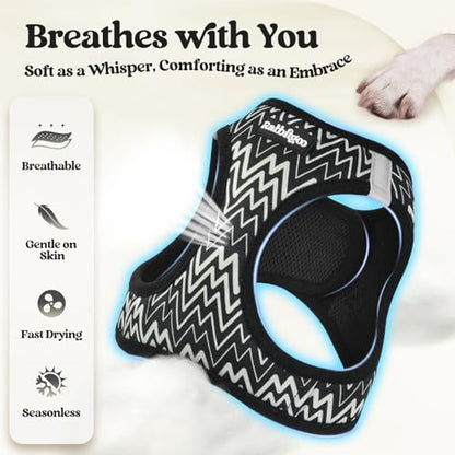 rabbitgoo Dog Harness Small Sized and Leash Set, Step in Soft Light Puppy Vest, Breathable Mesh Pet Harness, Reflective for Safe Easy Walking, Black Zigzag XS - color: Black Zigzag, size: Xs (chest: 13.3 - 15.5")