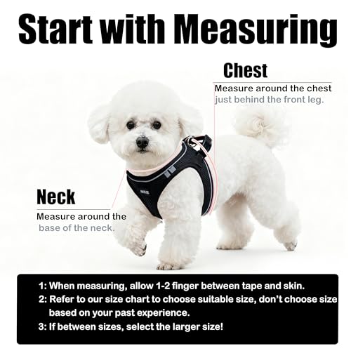 Dog Harness and Leash Set, No Pull Soft Mesh Pet Harness -in Puppy Pet Vest Harnesses for XS,Small,Medium Dogs and Cats Black-XS - color: Black, size: XS (Chest: 12.5-14")