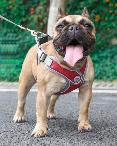 Medium Dog Harness and Leash Set,No Pull Adjustable Step in Soft Mesh Vest Harness,Easy Walk Reflective Pet Harness with Padded Handle for Walking Training Small Medium Large Dogs and Cats (Red, M) - color: Red, size: M