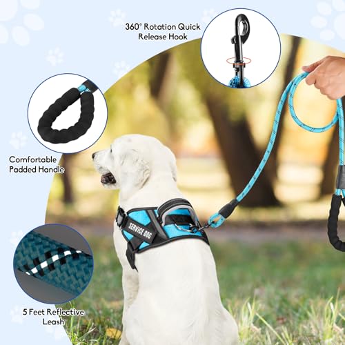 Service Dog Vest Harness and Leash Set, Animire in Training Dog Harness with 10 Dog Patches, Reflective Dog Leash with Soft Padded Handle for Small, Medium, Large, and Extra-Large Dogs - color: Light Blue, size: XXS