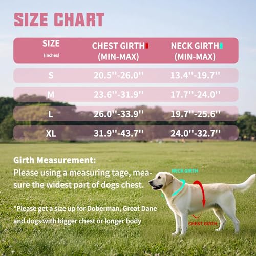 AUROTH Dog Harness and Leash Set, Soft Padded Service Dog Vest with 5.25FT Dog Leash, No Choke, Easy On Pet Vest, Adjustable Reflective No Pull Dog Harness for Large Dogs, Easy Walking and Training - color: Pink, size: Large