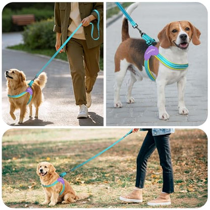 Kazazoo No Pull Small Dog Harness and Leash Set, Adjustable Puppy Soft Vest Harness with Breathable Mesh Padded, Reflective Lightweight Harness with Buckle for Extra Small Medium Dogs, Blue XS - color: Yellow&Blue, size: XS