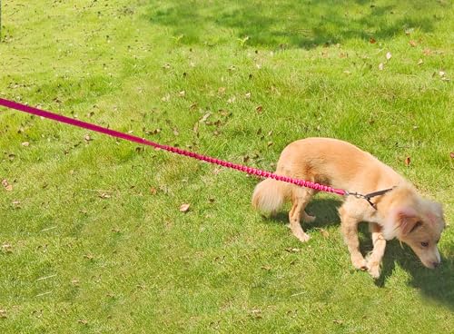 Bungee Dog Leash- 5FT Shock Absorbing & Reflective Nylon Leash | Anti-Pull Training for Small/Medium Dogs | 2cm Wide, 6 Colors (Pink) - color: Pink