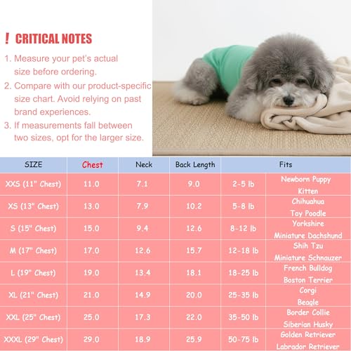 Chol&Vivi Dog Shirts, 4pcs Soft Cotton T-Shirt Clothes, Blank Hoodie/Sweatshirt, XS (14' Chest), Black, Grey, White, Dark Green - color: Black, Grey, White, Dark Green, size: XS (13" Chest)