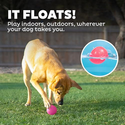 Outward Hound by Planet Dog Squeak Ball Bouncy Fetch Dog Toy, Pink - color: Pink Squeak Toy