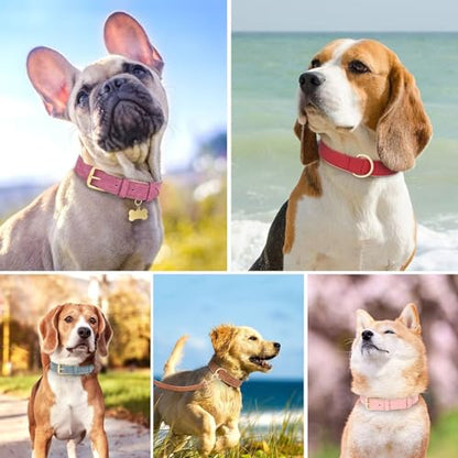 Didog Soft Padded PU Leather Dog Collar, Adjustable Dog Collars for Medium Dogs with Durable Metal Buckle and D Ring,Hot Pink,L - color: Hot pink, size: L: Fit Neck 13-17"(22-44lbs)