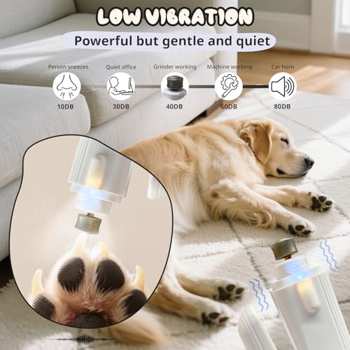 2-in-1 Dog Nail Trimmers & Dog Nail Grinder, Dog Nail Clippers with 2 LED Lights & Safety Guard, USB Rechargeable, Multiple Grinding Methods for Small, Medium, and Large Dogs & Cats (White) - color: White