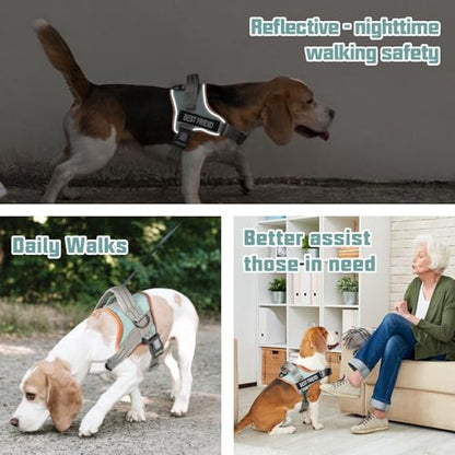 AUROTH Dog Harness and Leash Set, Soft Padded Service Dog Vest with 5.25FT Dog Leash, No Choke, Easy On Pet Vest, Adjustable Reflective No Pull Pet Vest Medium Sized Dog, Easy Walking and Training - color: Macaron Blue, size: Medium