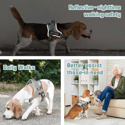 AUROTH Dog Harness and Leash Set, Soft Padded Service Dog Vest with 5.25FT Dog Leash, No Choke, Easy On Pet Vest, Adjustable Reflective No Pull Dog Harness for Large Dogs, Easy Walking and Training - color: Macaron Blue, size: Large
