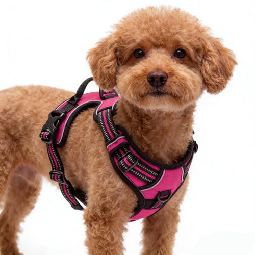 Hot Pink No-Pull Dog Harness with 2 Leash Clips，Soft Padded Vest for Medium Dog, Adjustable Reflective Dog Vest Easy to Put on and Take Off, (Neck: 14"~20", Chest: 21"~27", Hot Pink M) - color: Hot Pink, size: Medium