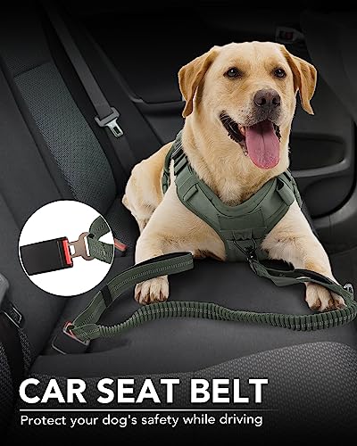 Joytale Tactical Dog Leash Heavy Duty, 4-6FT Shock Absorbing Bungee Lead with 2 Padded Handle, Metal Carabiner Clip, Car Seatbelt, Strong No Pull Leash for Medium Large X-Large Dogs, Army Green - color: Army Green