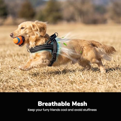 Didog No Pull Dog Harness with Soft Mesh Padded,Reflective & Quick Fit Light Weight Dog Strap Vest Harness,Easy for Walking Training (XS:Chest 15-18", Mesh-Black) - color: Black, size: XS: Chest 15-18", Fit 9-18 lbs