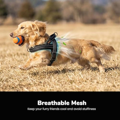 Didog No Pull Dog Harness with Soft Mesh Padded,Reflective & Quick Fit Light Weight Dog Strap Vest Harness,Easy for Walking Training (XS:Chest 15-18", Mesh-Black) - color: Black, size: XS: Chest 15-18", Fit 9-18 lbs