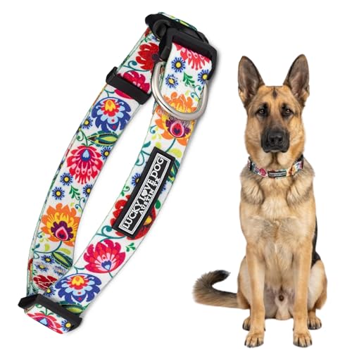 Lucky Love Dog - Adjustable Dog Collar with Easy Click Buckle for Medium, Durable, & Comfortable for Male & Female Dogs, Pet Collar for Puppies & Adult Dogs - Ladybird, Medium - color: Ladybird Collar Only, size: Medium | 13-21"