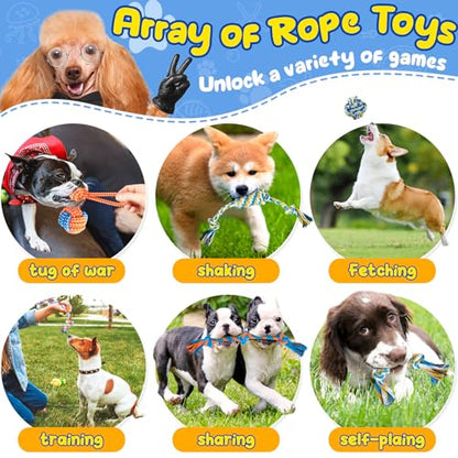 Puppy Toys 23 Pack, Interactive Dog Toys for Puppy Teething, Puppy Chew Toys with Squeaky Plush Toys, Rope Toys and Dog Treat Balls, Puppy Teething Toys for Small Dogs, Blue