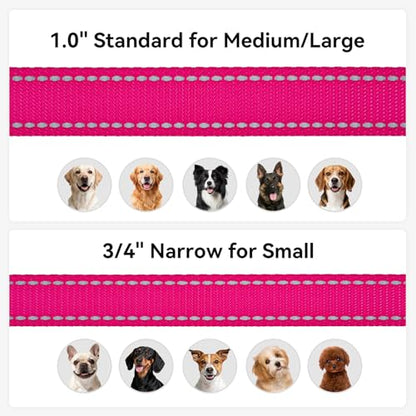 Joytale Dog Leash, 4 FT Double-Sided Reflective, Padded Handle Nylon Heavy Duty Leashes for Small Dogs Walking, Hotpink - color: Hotpink, size: 4 ft Narrow
