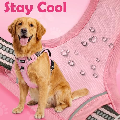 Funfox Dog Harness No Pull, Adjustable Pet Vest Harness, Super Soft Material with Vertical Handle Easy Control, Reflective Night Walking, 2 Leash Clips for Small Sized Dogs, Pink, S - color: Pink, size: Small