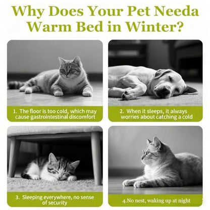 Cat Bed, 2026 New Upgrated Warm Cat Bed for Winter, 360° Nesting Design, Snuggle Season Just Got Fluffier, Calming Plush Anti-Anxiety Cuddler Beds with Removable Cushioned (Purple,M) - color: Purple, size: M