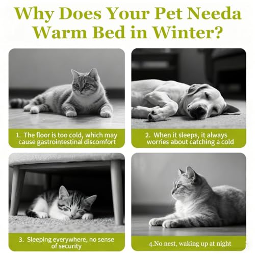 Cat Bed, 2026 New Upgrated Warm Cat Bed for Winter, 360° Nesting Design, Snuggle Season Just Got Fluffier, Calming Plush Anti-Anxiety Cuddler Beds with Removable Cushioned (Beige,L) - color: Beige, size: L