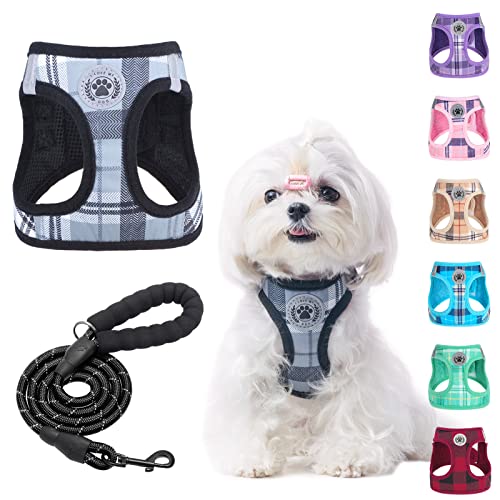 BEAUTYZOO Small Dog Harness and Leash Set,Step in No Choke No Pull Soft Mesh Dog Harnesses Reflective for Extra-Small Medium Puppy Dogs and Cats, Plaid Dog Vest Harness for XS S Pets, Grey XXS - color: Grey, size: XX-Small(Chest Girth 11.5"-13")