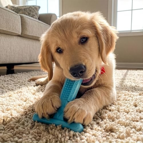 SPOT Bam-Bones Puppy T-Bone Dog Chew Toy, Chicken Flavor, 6 Inch, Bamboo Fiber & Flexible Rubber, Easy Grip Design for Gentle Chewers, Small Dogs & Puppies
